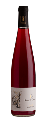 Pinot Noir 2021 Bio - AOC ALSACE