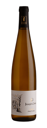 Pinot Gris 2021 Bio - AOC ALSACE