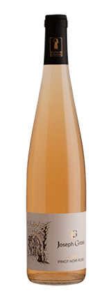 Pinot Noir Rosé 2021 Bio - AOC ALSACE