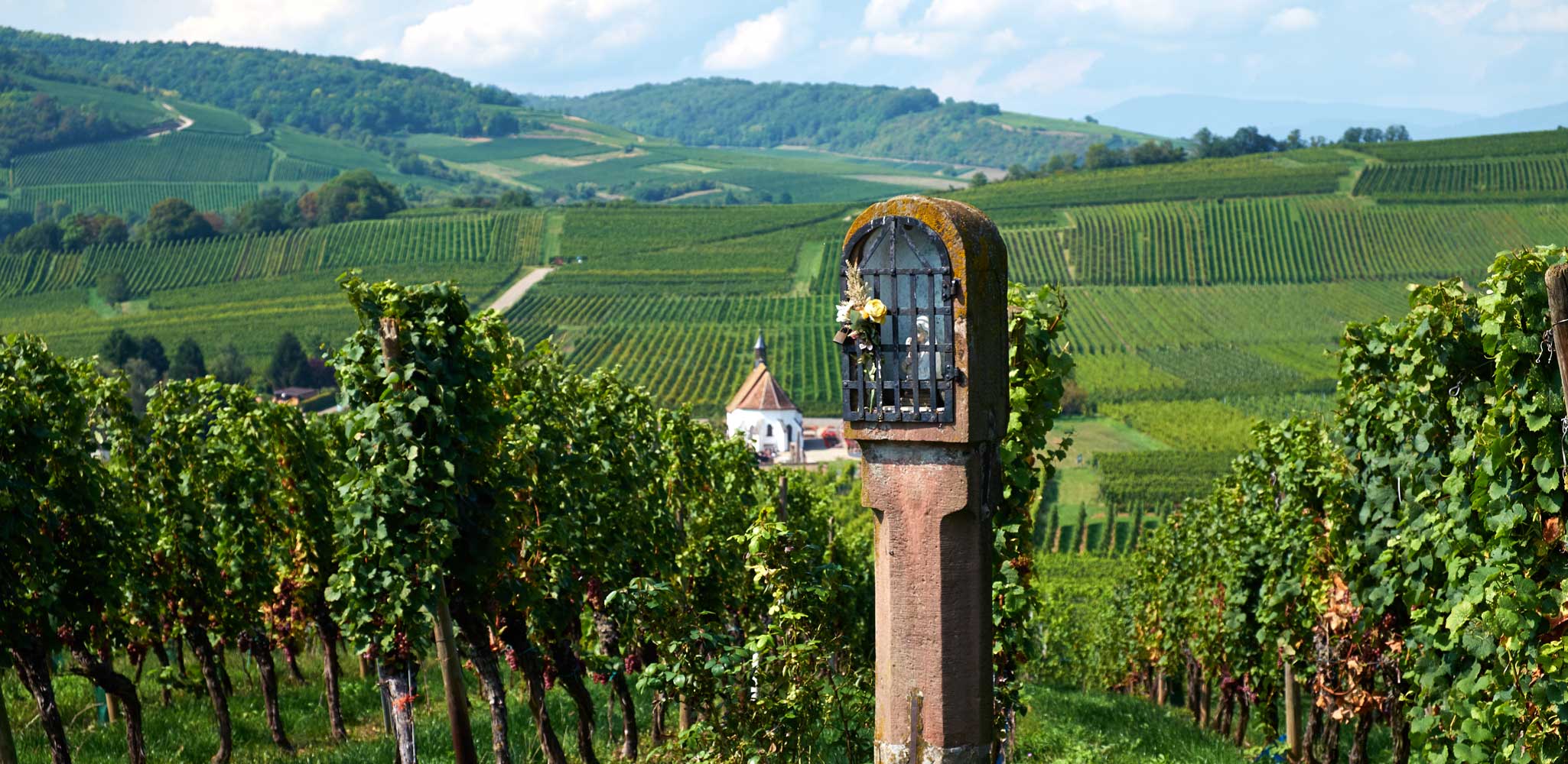 Weingut