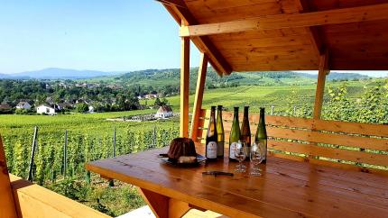 Vinoroute - Oenotourisme en Alsace